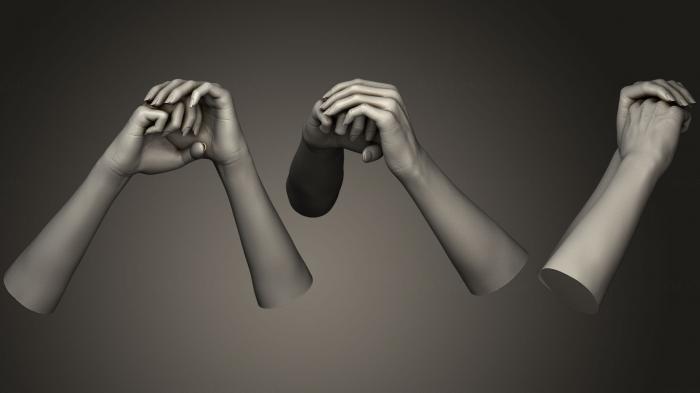 نموذج ثلاثي الأبعاد لآلة CNC تشريح الهياكل العظمية والجماجم أيدي الإناث 6